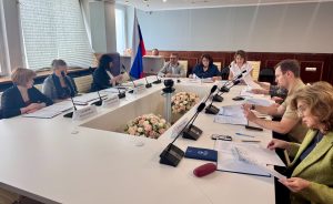 На заседании Ученого совета Института развития ребенка обсудили результаты выполнения государственного задания за первое полугодие 2025 года