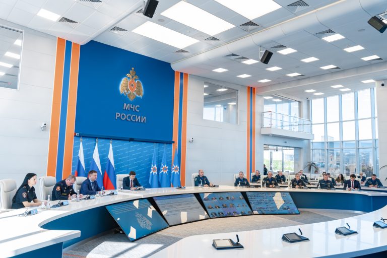 ФГБНУ «Институт развития, здоровья и адаптации ребенка»