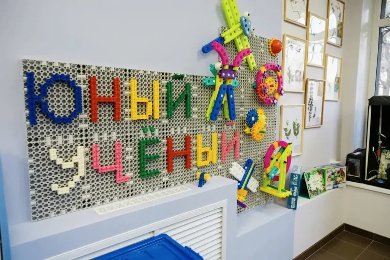 ФГБНУ «Институт развития, здоровья и адаптации ребенка»